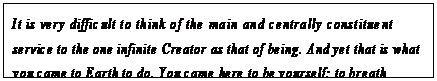 eLXg {bNX: It is very difficult to think of the main and centrally constituent service to the one infinite Creator as that of being. And yet that is what you came to Earth to do. You came here to be yourself; to breath